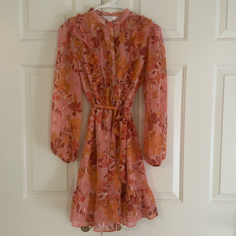 Long Sleeved Dress